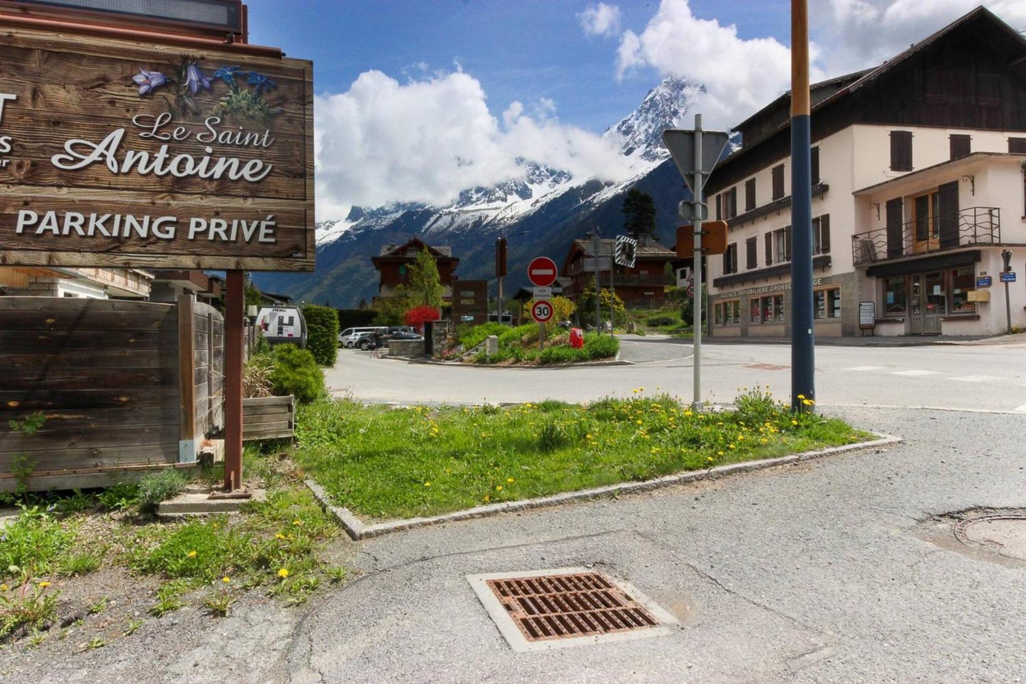 Les Dryades - Renove - Balcon Avec Vue Mt Blanc Les Houches Eksteriør billede